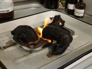 Image from the club gallery Klub Przyrodników „Chemik”