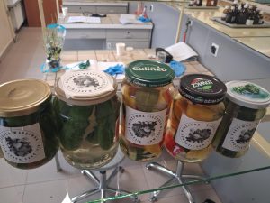 Image from the club gallery Klub Przyrodników „Chemik”