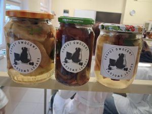 Image from the club gallery Klub Przyrodników „Chemik”