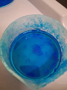 Image from the club gallery Klub Przyrodników „Chemik”