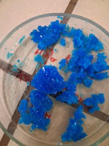 Image from the club gallery Klub Przyrodników „Chemik”