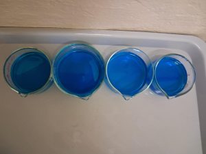 Image from the club gallery Klub Przyrodników „Chemik”