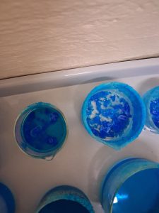 Image from the club gallery Klub Przyrodników „Chemik”