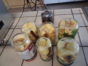 Image from the club gallery Klub Przyrodników „Chemik”