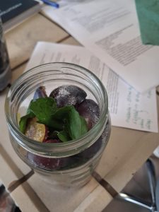 Image from the club gallery Klub Przyrodników „Chemik”