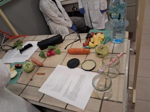 Image from the club gallery Klub Przyrodników „Chemik”