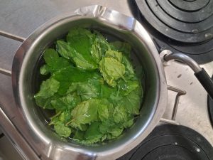 Image from the club gallery Klub Przyrodników „Chemik”