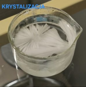 Image from the club gallery Klub Przyrodników „Chemik”