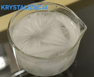 Image from the club gallery Klub Przyrodników „Chemik”