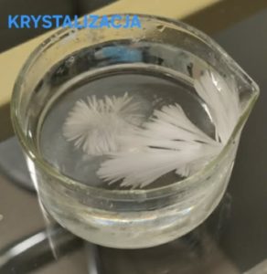 Image from the club gallery Klub Przyrodników „Chemik”