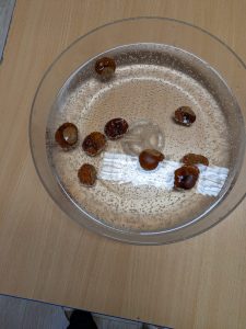 Image from the club gallery Szósteczka