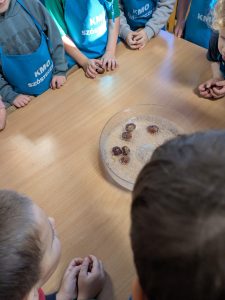 Image from the club gallery Szósteczka