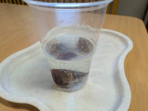 Image from the club gallery Szósteczka