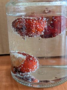 Image from the club gallery Szósteczka