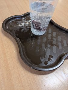 Image from the club gallery Szósteczka