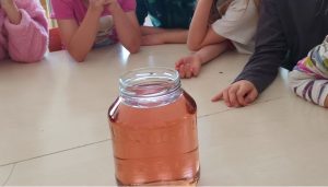 Image from the club gallery Klub Młodych Naukowców