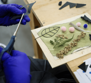 Image from the club gallery Przykład