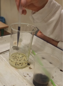 Image from the club gallery Atomowi Agenci SP2