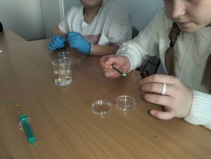 Image from the club gallery Matematyczni odkrywcy