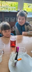 Image from the club gallery Klub Małego Odkrywcy