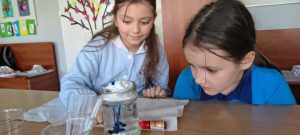 Image from the club gallery Klub Małego Odkrywcy