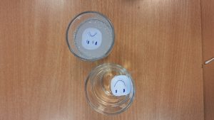 Image from the club gallery Klub Małego Odkrywcy