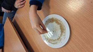 Image from the club gallery Klub Małego Odkrywcy