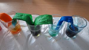 Image from the club gallery Klub Małego Odkrywcy