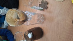 Image from the club gallery Klub Małego Odkrywcy