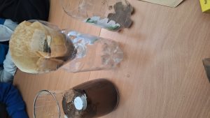 Image from the club gallery Klub Małego Odkrywcy