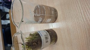 Image from the club gallery Klub Małego Odkrywcy