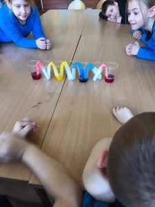 Image from the club gallery Klub Małego Odkrywcy