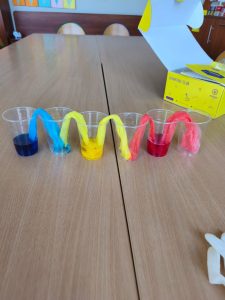 Image from the club gallery Klub Małego Odkrywcy