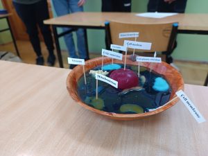 Image from the club gallery CLIL-owe STEAM-owanie