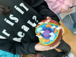 Image from the club gallery CLIL-owe STEAM-owanie