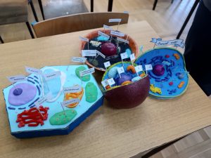 Image from the club gallery CLIL-owe STEAM-owanie