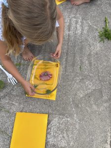 Image from the club gallery GAMES SQUARE